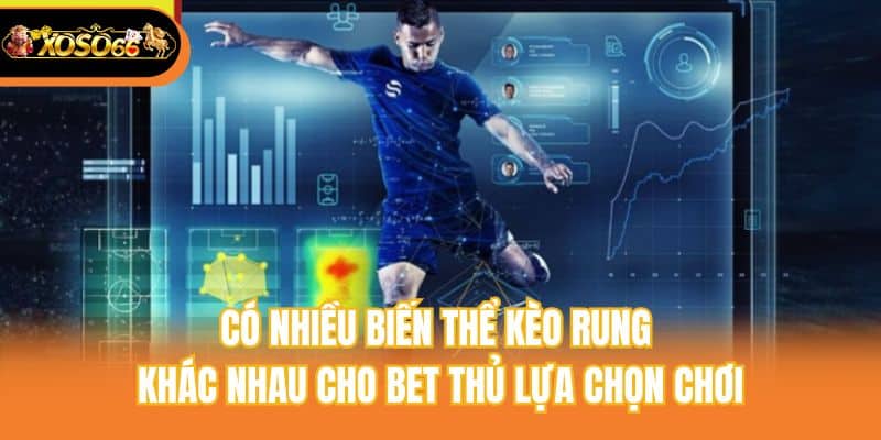 Có nhiều biến thể kèo rung khác nhau cho bet thủ lựa chọn chơi