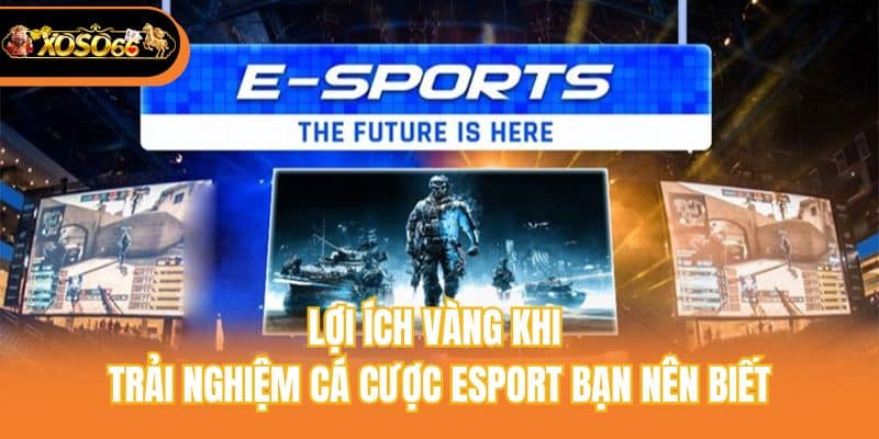 Lợi ích vàng khi trải nghiệm cá cược Esport bạn nên biết