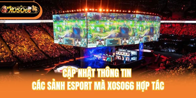 Cập nhật thông tin các sảnh Esport mà Xoso66 hợp tác