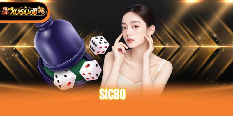 Bí Quyết Chơi Sicbo Bất Bại Dành Cho Mọi Cược Thủ Mới