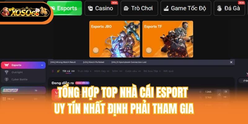 Tổng hợp top nhà cái Esport uy tín nhất định phải tham gia